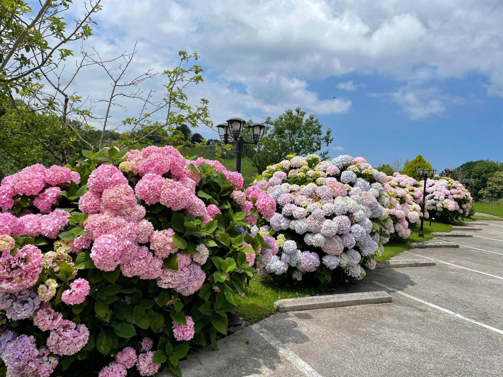 Agroturismo Erretegi Haundi โอยาร์ทชุน ภายนอก รูปภาพ